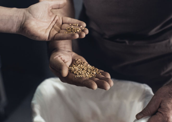 Szkolenie dot. wymagań systemu GMP+ i audytowania wewnętrznego GMP+ FSA i FRA